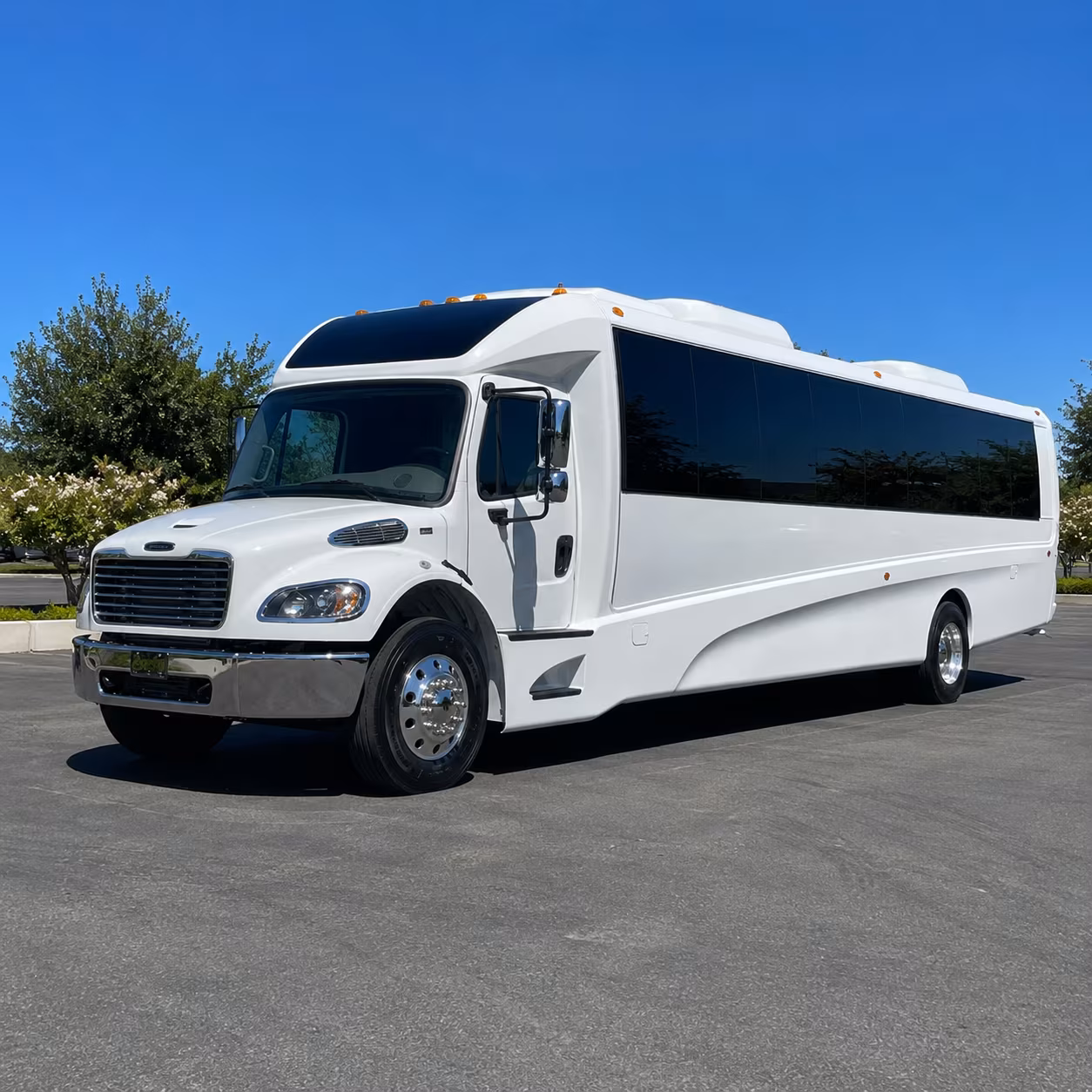 buckeye 15 passenger minibus
