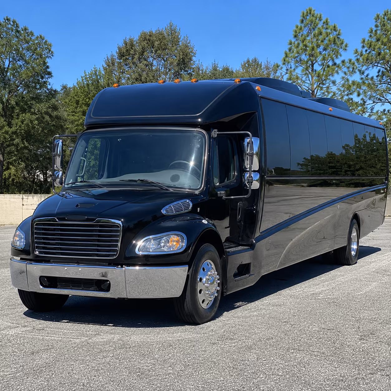 buckeye 18 passenger minibus
