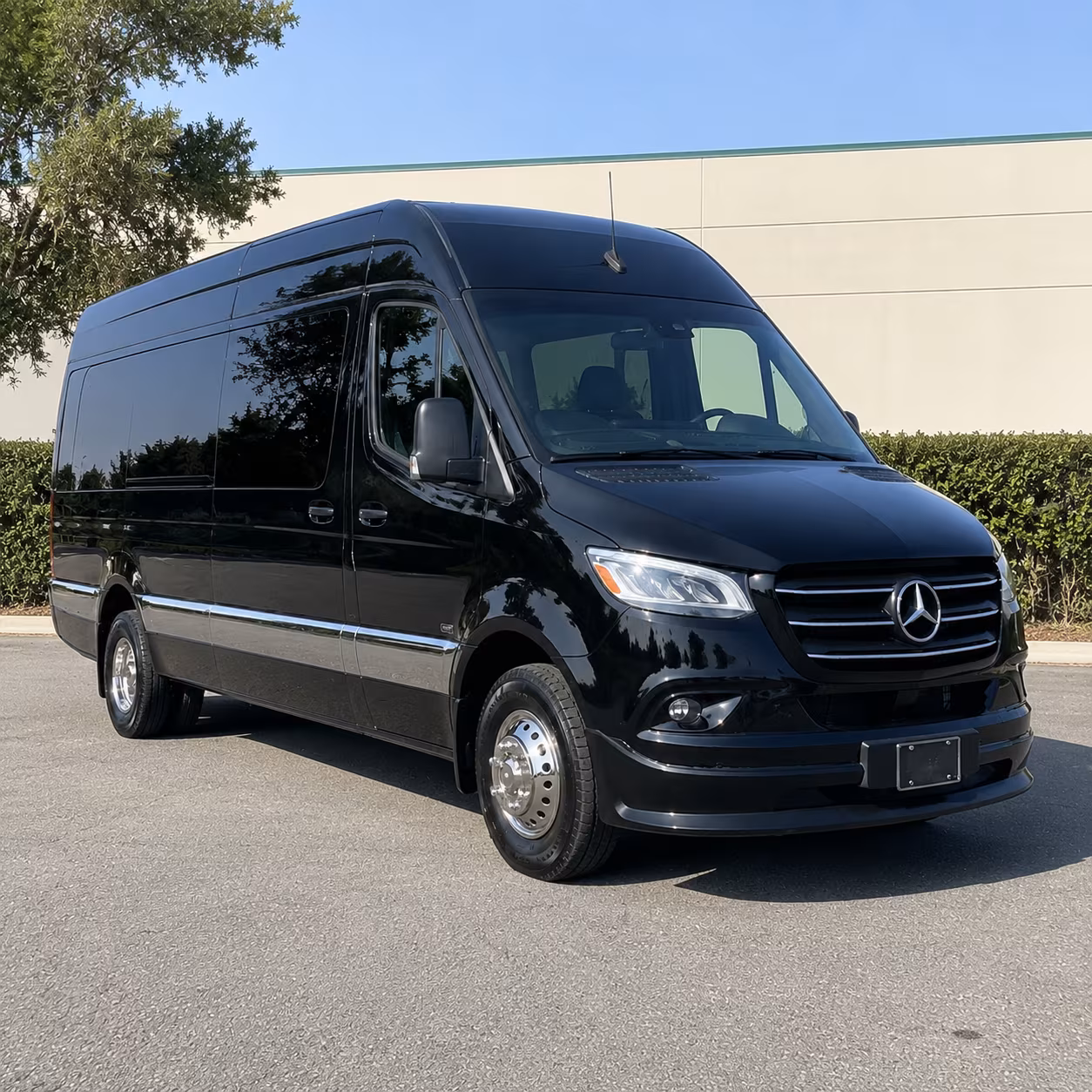 sprinter vans and minibuses for executive corporate travel in buckeye